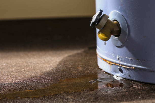 Best Carpet water damage restoration  in Fairland, MD