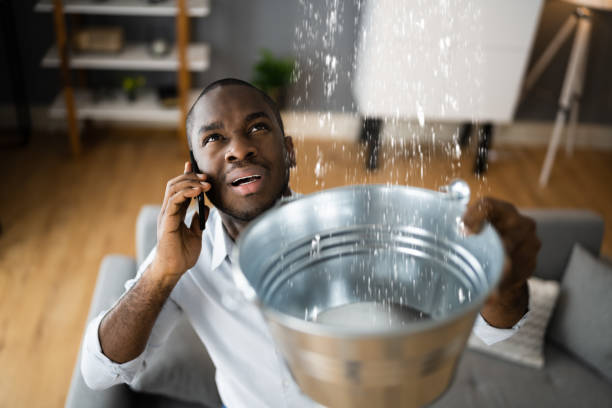 Best Mold removal after water damage  in Fairland, MD