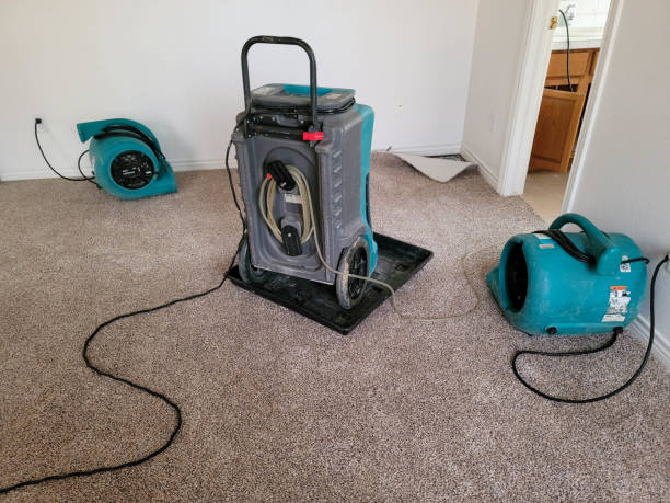 Best Mold removal after water damage  in Fairland, MD