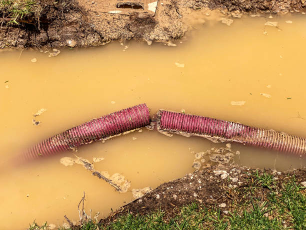 Best Residential water damage restoration  in Fairland, MD
